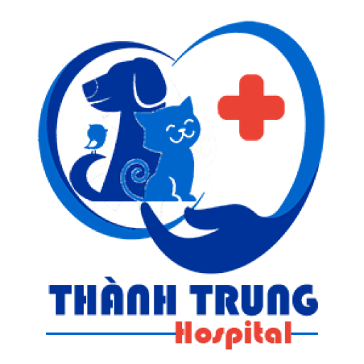 thuythanhtrung.com