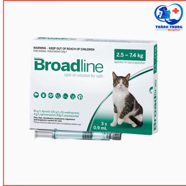 Braod--line-mèo